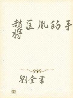 赵匡胤的手下大将