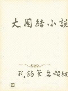 大团结小说全文封面