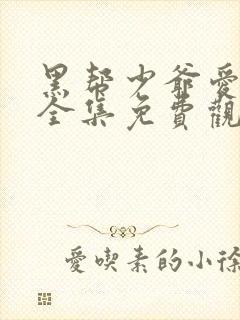 黑帮少爷爱上我全集免费观看封面