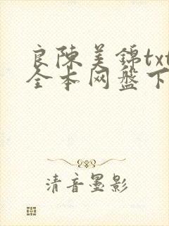 良陈美锦txt全本网盘下载