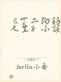 《丁二狗的逍遥人生》小说