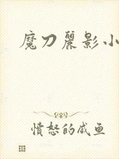 魔刀丽影小说