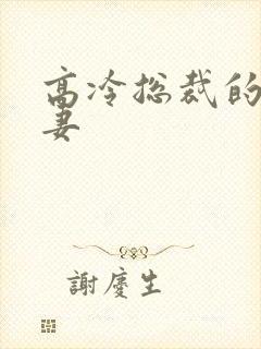 高冷总裁的小娇妻封面