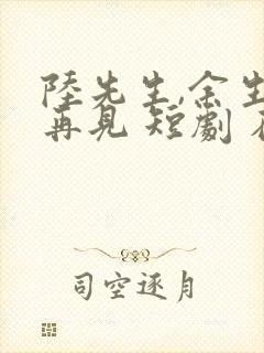 陆先生,余生不再见 短剧 在线观看封面