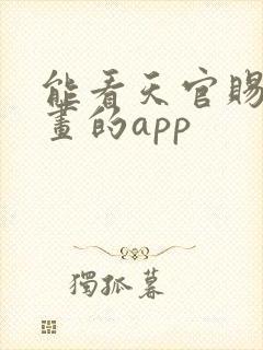 能看天官赐福漫画的app