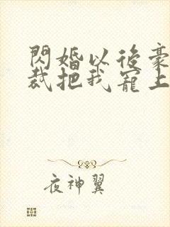 闪婚以后豪门总裁把我宠上天封面