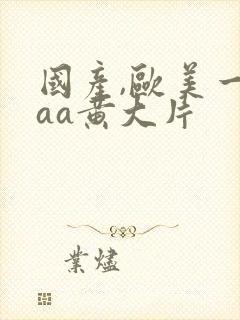 国产,欧美一级aa黄大片