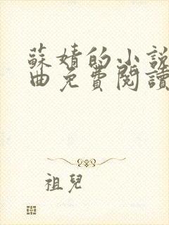 苏婧的小说三部曲免费阅读