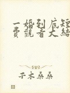 一婚到底短剧免费观看大结局封面