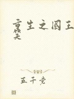 重生之国王的微笑