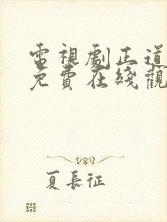 电视剧正道无敌免费在线观看