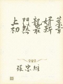 上门龙婿叶辰萧初然最新章节列表