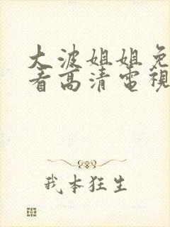 大波姐姐免费观看高清电视剧韩剧