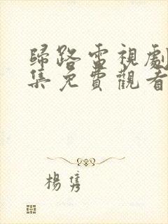 归路电视剧30集免费观看全集