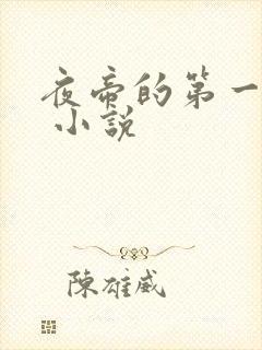 夜帝的第一狂妃 小说
