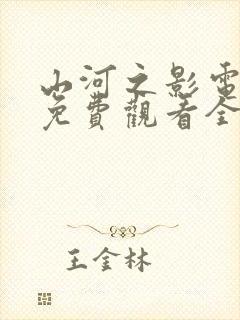 山河之影电视剧免费观看全集高清封面