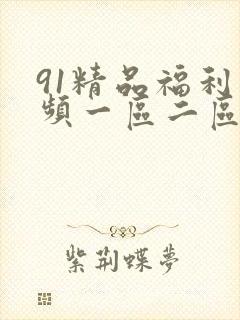 91精品福利视频一区二区三区