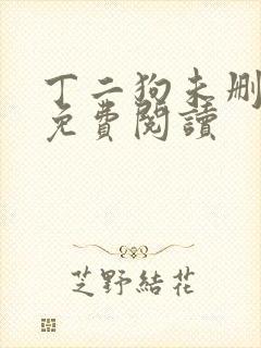 丁二狗未删减版免费阅读