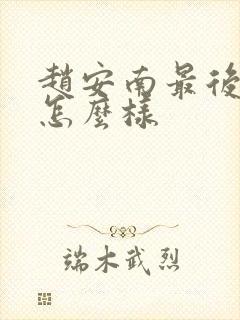 赵安南最后结局怎么样封面