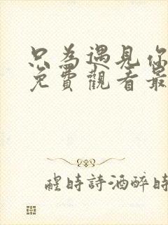 只为遇见你短剧免费观看最新集数封面