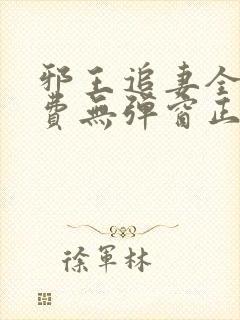 邪王追妻全文免费无弹窗正版封面