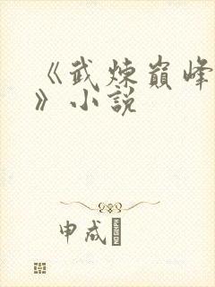 《武炼巅峰杨开》小说