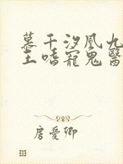 慕千汐凰九夜邪王嗜宠鬼医狂妃