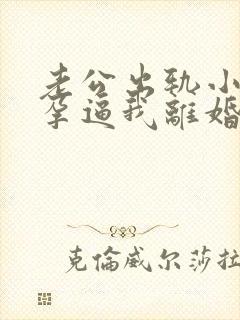 老公出轨小三怀孕逼我离婚封面