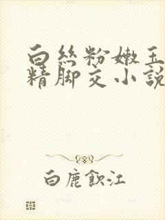 白丝粉嫩玉足夹精脚交小说封面