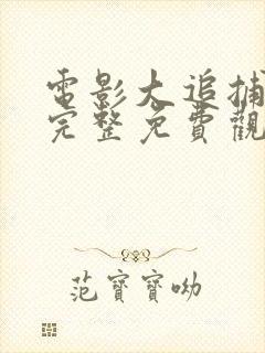 电影大追捕在线完整免费观看国语