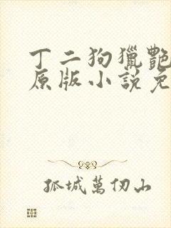 丁二狗猎艳人生原版小说免费阅读