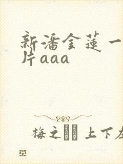 新潘金莲一级淫片aaa