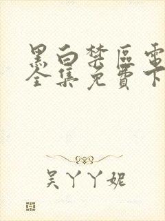 黑白禁区电视剧全集免费下载封面