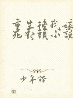 重生后我嫁给了死对头小说