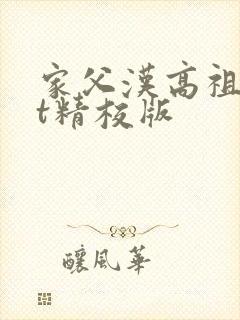 家父汉高祖txt精校版