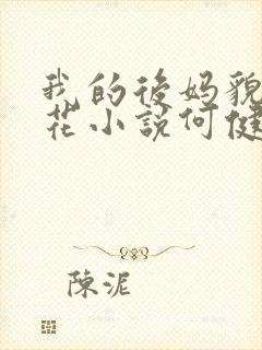 我的后妈貌美如花小说何健免费阅读