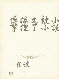 傅总又被小替身拿捏了小说免费阅读封面