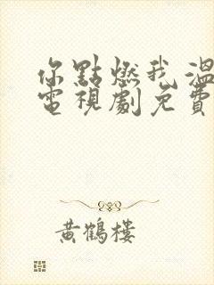 你点燃我温暖你电视剧免费观看