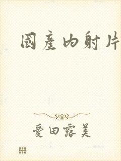 国产内射片