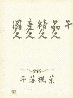 国产精品午夜久久久久久