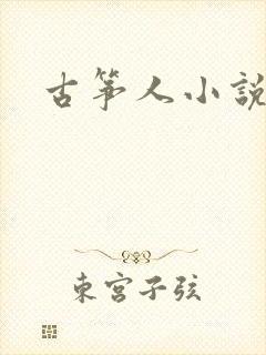 古筝人小说阅读