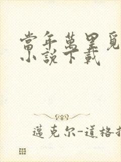 当年万里觅封侯小说下载