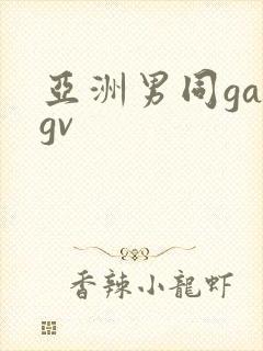 亚洲男同gaygv