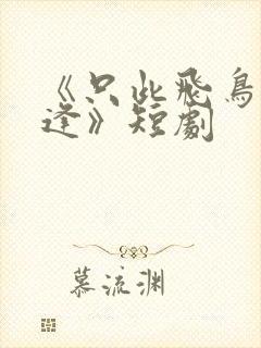 《只此飞鸟不相逢》短剧封面