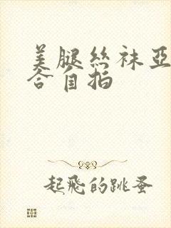 美腿丝袜亚洲综合自拍