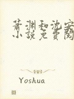 萧渊和沈安安的小说免费阅读封面