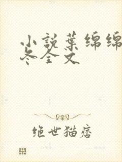 小说叶绵绵穆以冬全文封面