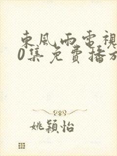 东风雨电视剧40集免费播放在线观看