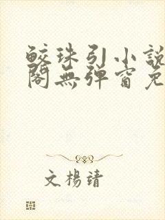 鲛珠引小说笔趣阁无弹窗免费阅读