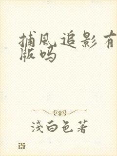 捕风追影有国语版吗封面